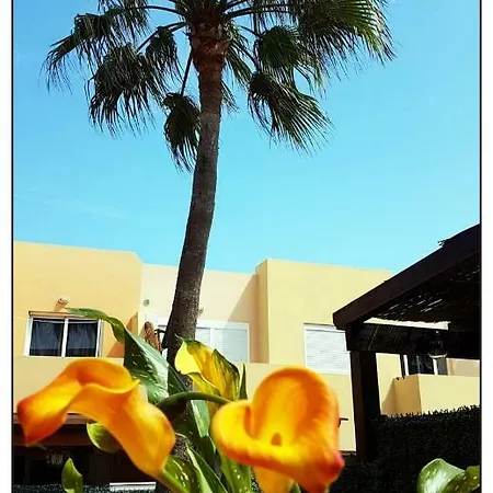 Lur De La Playa Apartment Corralejo