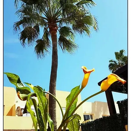 Lur De La Playa Corralejo
