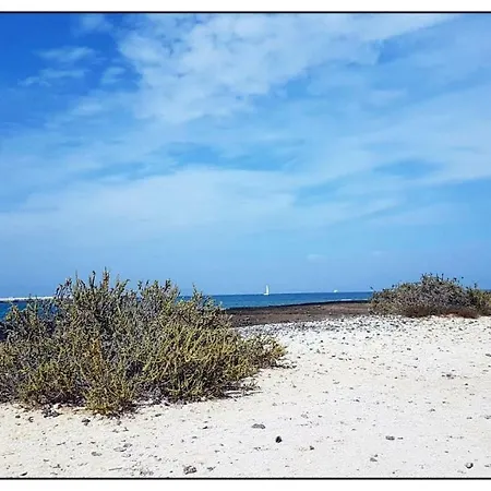 Lur De La Playa Corralejo