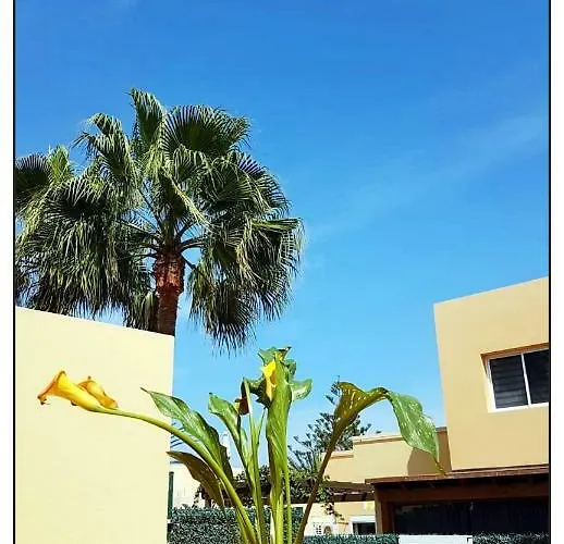 Lejlighed Lur De La Playa Corralejo